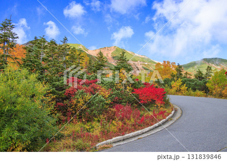 紅葉見頃な乗鞍 131839846