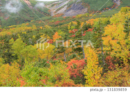 紅葉見頃な乗鞍 131839859