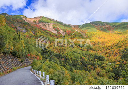 紅葉見頃な乗鞍 131839861