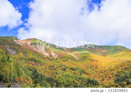 紅葉見頃な乗鞍 紅葉見頃な乗鞍 131839863