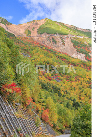 紅葉見頃な乗鞍 131839864