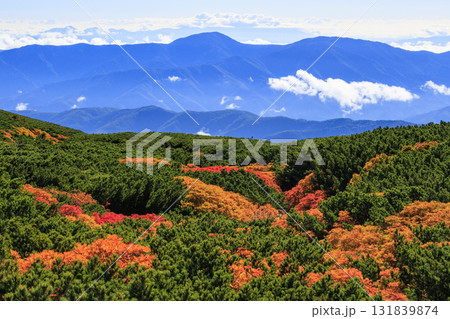 紅葉見頃な乗鞍 131839874