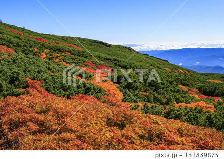 紅葉見頃な乗鞍 131839875
