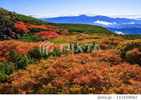 紅葉見頃な乗鞍 131839882