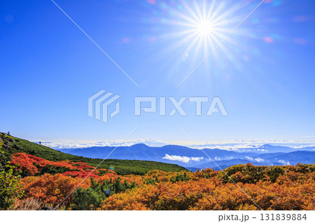 紅葉見頃な乗鞍 紅葉見頃な乗鞍 131839884