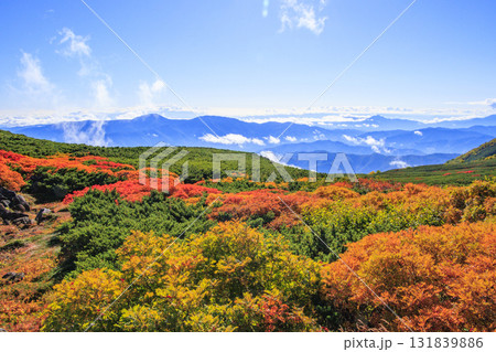 紅葉見頃な乗鞍 131839886