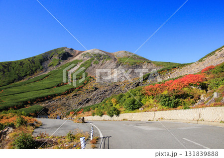 紅葉見頃な乗鞍 紅葉見頃な乗鞍 131839888