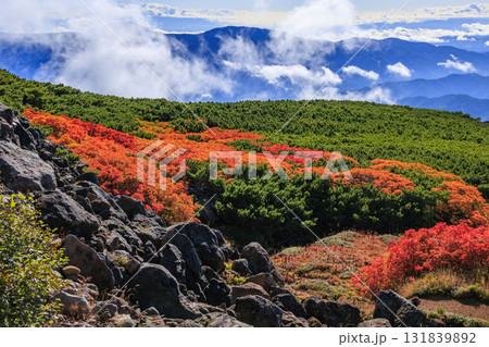紅葉見頃な乗鞍 131839892