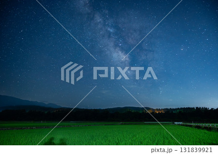 二人の影が見える青々とした稲と天の川 二人の影が見える青々とした稲と天の川 131839921