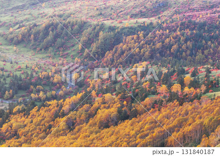 群馬県、長野県境の渋峠から望む左火に染まる芳ヶ平の紅葉 131840187