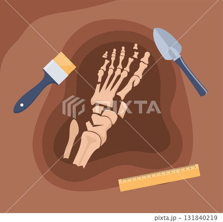 Human foot bones. Archaeological find. Historical value. Image for books, articles, posters, archeology, history of past, excavations presentations. Vector Human foot bones. Archaeological find. Historical value. Image for books, articles, posters, archeology, history of past, excavations presentations. Vector 131840219