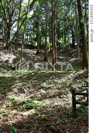 七尾城077 曲輪内、登山道 131840303