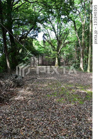 七尾城079 曲輪内、登山道 七尾城079 曲輪内、登山道 131840305