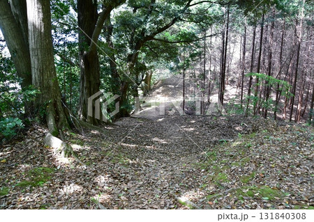 七尾城082 曲輪内、土塁、登山道 131840308