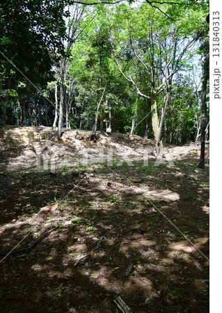 七尾城087 曲輪内、登山道 七尾城087 曲輪内、登山道 131840313