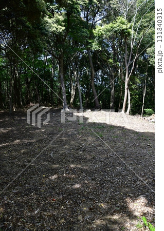 七尾城076 曲輪内、登山道 131840315