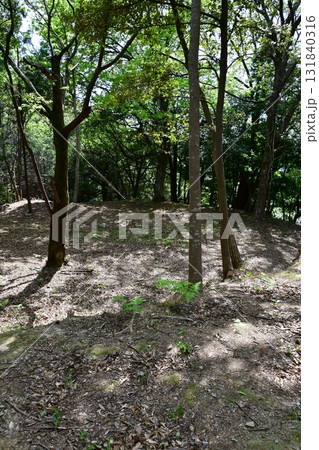 七尾城090 曲輪内、登山道 七尾城090 曲輪内、登山道 131840316