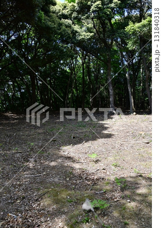七尾城092 曲輪内、登山道 七尾城092 曲輪内、登山道 131840318
