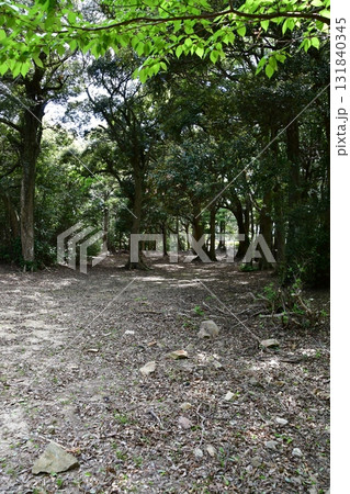 七尾城069 二の段 131840345