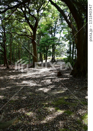 七尾城071 二の段 七尾城071 二の段 131840347