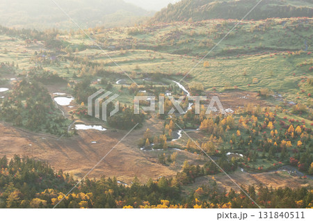群馬県、長野県境の渋峠から望む芳ヶ平の紅葉 群馬県、長野県境の渋峠から望む芳ヶ平の紅葉 131840511