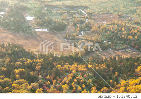 群馬県、長野県境の渋峠から望む芳ヶ平の紅葉 131840512