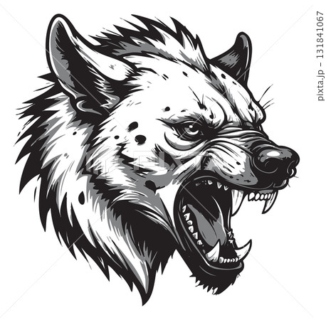 Hyena head snarling displaying aggression vector illustration Hyena head snarling displaying aggression vector illustration 131841067