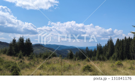 Breathtaking mountain landscape with lush meadows and pine trees under cloudy sky 131841176