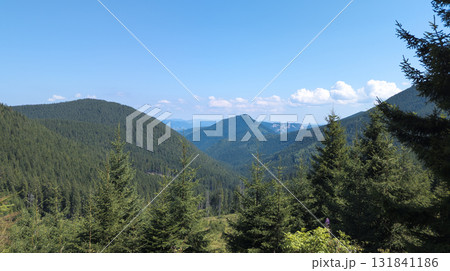 Lush green valley and mountains dominating the landscape under blue sky 131841186