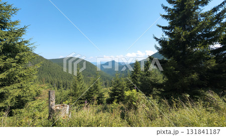 Lush green valley and mountains dominating the landscape under blue sky 131841187