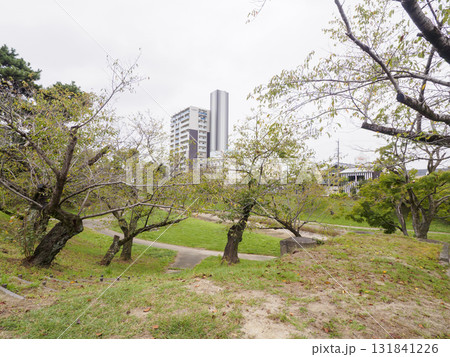 秋の岡崎城址公園 131841226