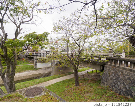 秋の岡崎城址公園 秋の岡崎城址公園 131841227