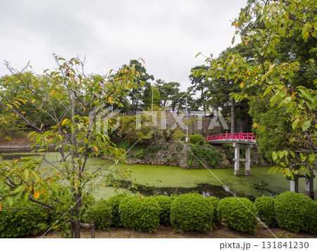 秋の岡崎城址公園 131841230
