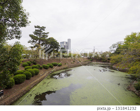 秋の岡崎城址公園 秋の岡崎城址公園 131841232