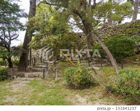 秋の岡崎城址公園 秋の岡崎城址公園 131841237
