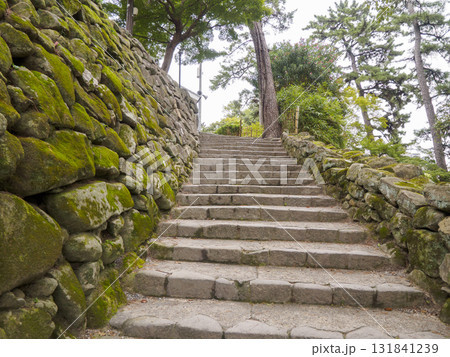 秋の岡崎城址公園 131841239