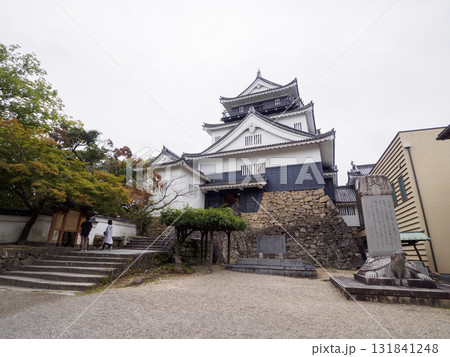 秋の岡崎城址公園 131841248