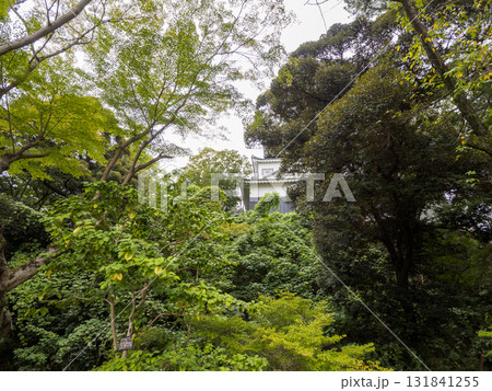 秋の岡崎城址公園 131841255