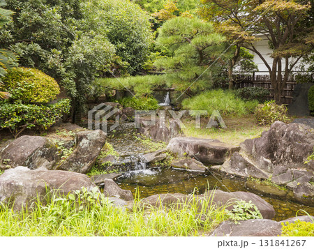 秋の岡崎城址公園 秋の岡崎城址公園 131841267