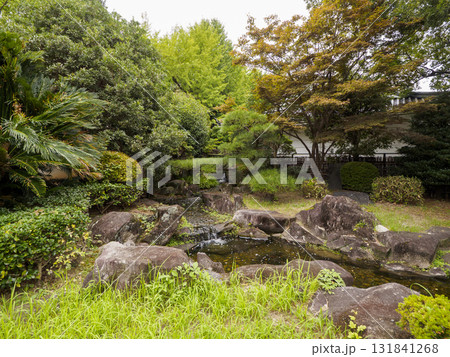 秋の岡崎城址公園 131841268