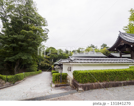 秋の岡崎城址公園 秋の岡崎城址公園 131841270