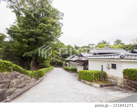 秋の岡崎城址公園 秋の岡崎城址公園 131841271