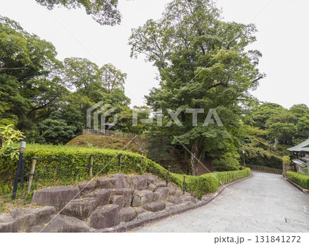秋の岡崎城址公園 秋の岡崎城址公園 131841272