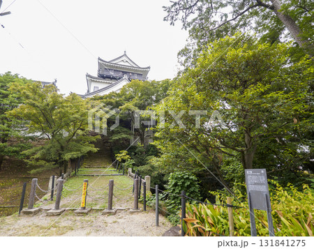 秋の岡崎城址公園 秋の岡崎城址公園 131841275