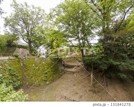 秋の岡崎城址公園 131841278