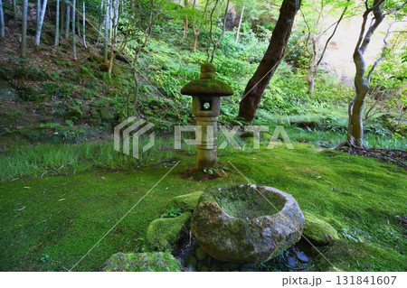 鎌倉にある報国寺の庭 鎌倉にある報国寺の庭 131841607