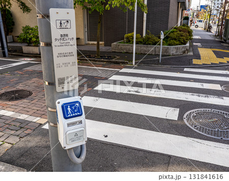 視覚障害者用音響式信号機のスイッチと横断歩道 131841616