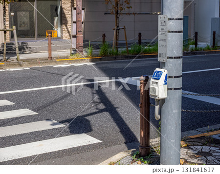 視覚障害者用音響式信号機のスイッチと横断歩道 131841617