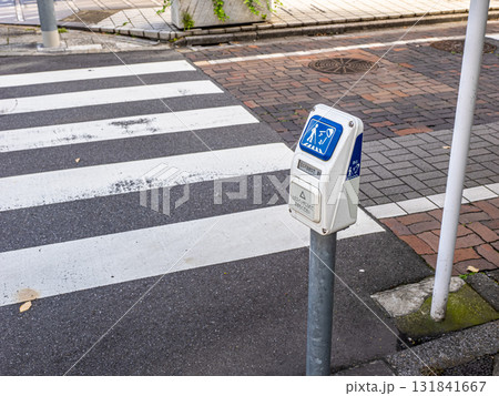 視覚障害者用音響式信号機のスイッチと横断歩道 131841667