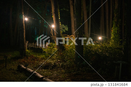 八ヶ岳のキャンプ場 131841684